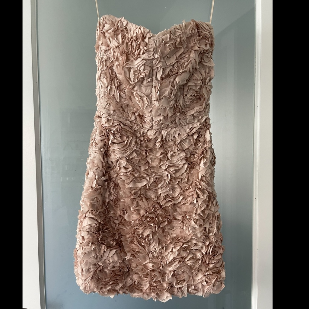 Obakki Rossa Blush Dress